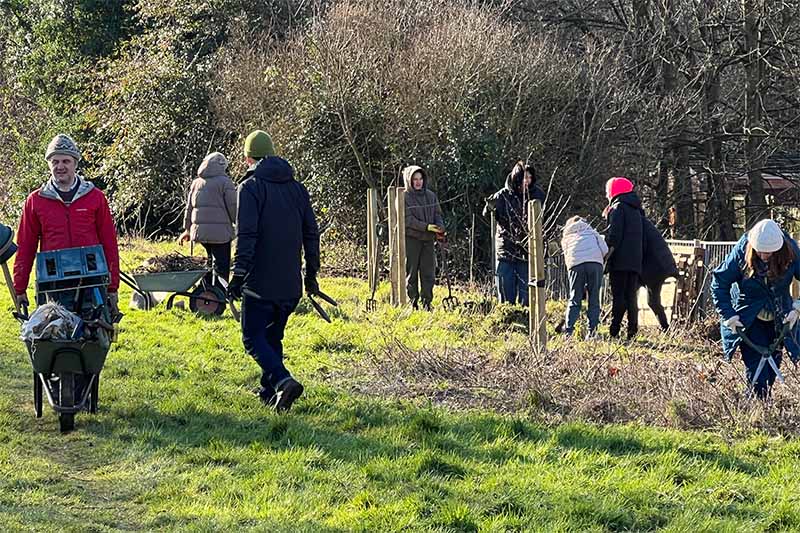 Tree and Shrub Planting in Balsall Heath